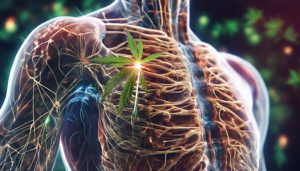 The Science Behind Cannabis and Chronic Pain Relief