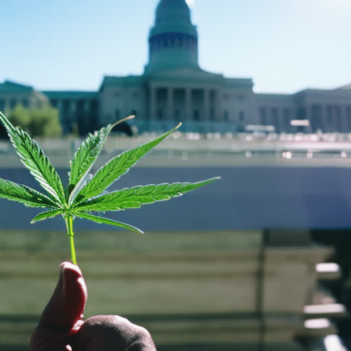 A hopeful patient in Delaware holding a small, flourishing marijuana plant against a backdrop of the Delaware state capitol building, symbolizing the growth of medical marijuana access